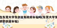 在東莞大學生創業有政府補貼嗎(東莞大學生求職創業補貼)