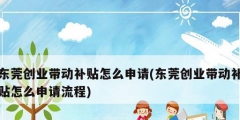 東莞創業帶動補貼怎么申請(東莞創業帶動補貼怎么申請流程)