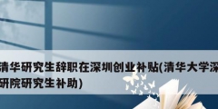 清華研究生辭職在深圳創業補貼(清華大學深研院研究生補助)