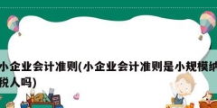 小企業會計準則(小企業會計準則是小規模納稅人嗎)