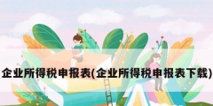 企業所得稅申報表(企業所得稅申報表下載)
