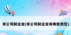 非公司制企業(非公司制企業有哪些類型)