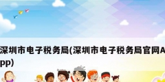 深圳市電子稅務局(深圳市電子稅務局官網App)