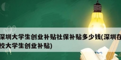 深圳大學生創業補貼社保補貼多少錢(深圳在校大學生創業補貼)