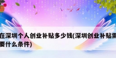 在深圳個人創業補貼多少錢(深圳創業補貼需要什么條件)