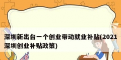 深圳新出臺一個創業帶動就業補貼(2021深圳創業補貼政策)