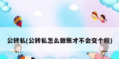 公轉私(公轉私怎么做賬才不會交個稅)