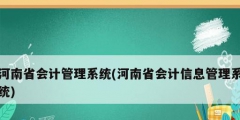 河南省會計管理系統(河南省會計信息管理系統)