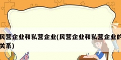 民營企業和私營企業(民營企業和私營企業的關系)