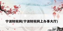 寧波財稅網(寧波財稅網上辦事大廳)